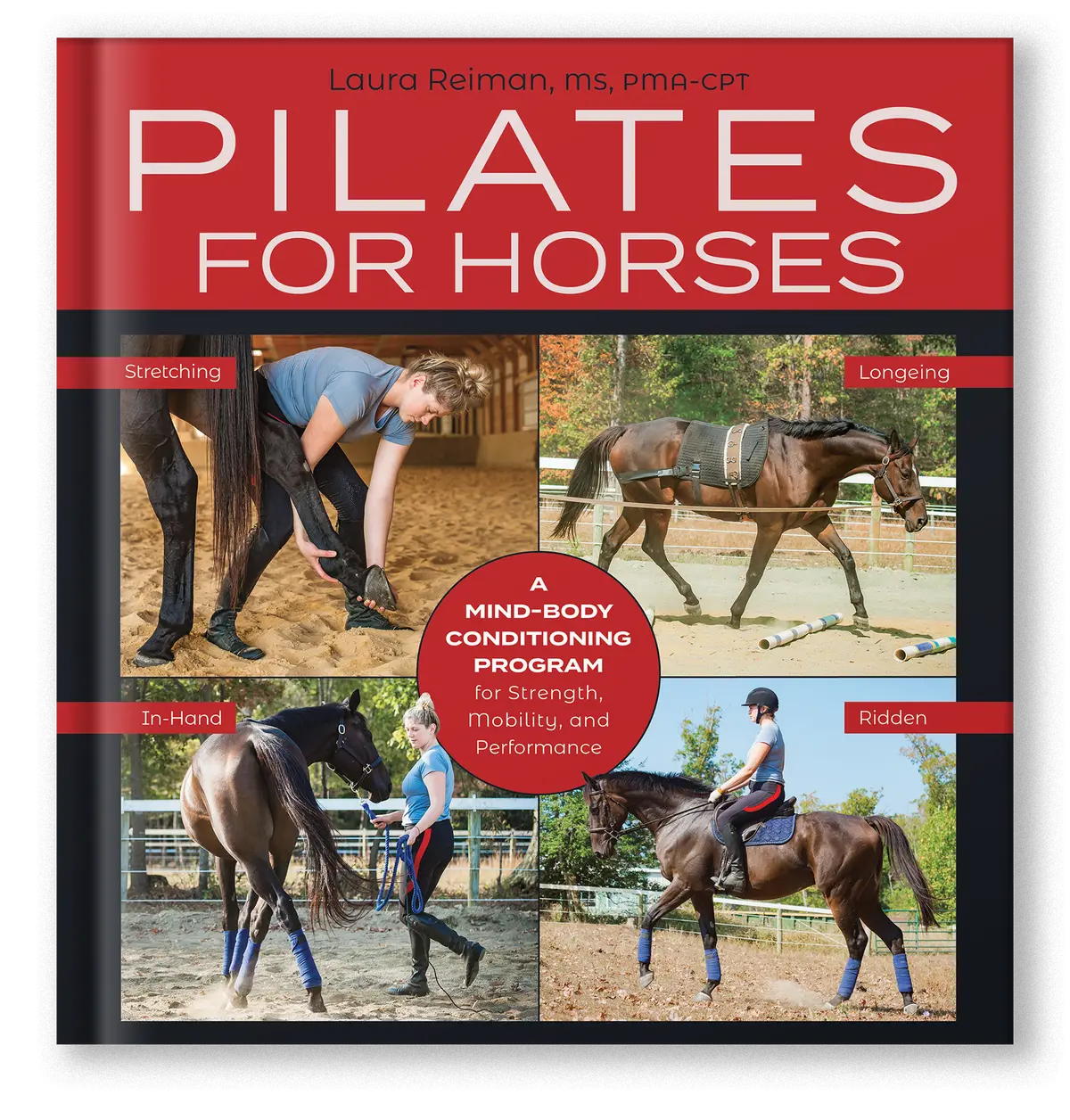 Pilates For Horses 1