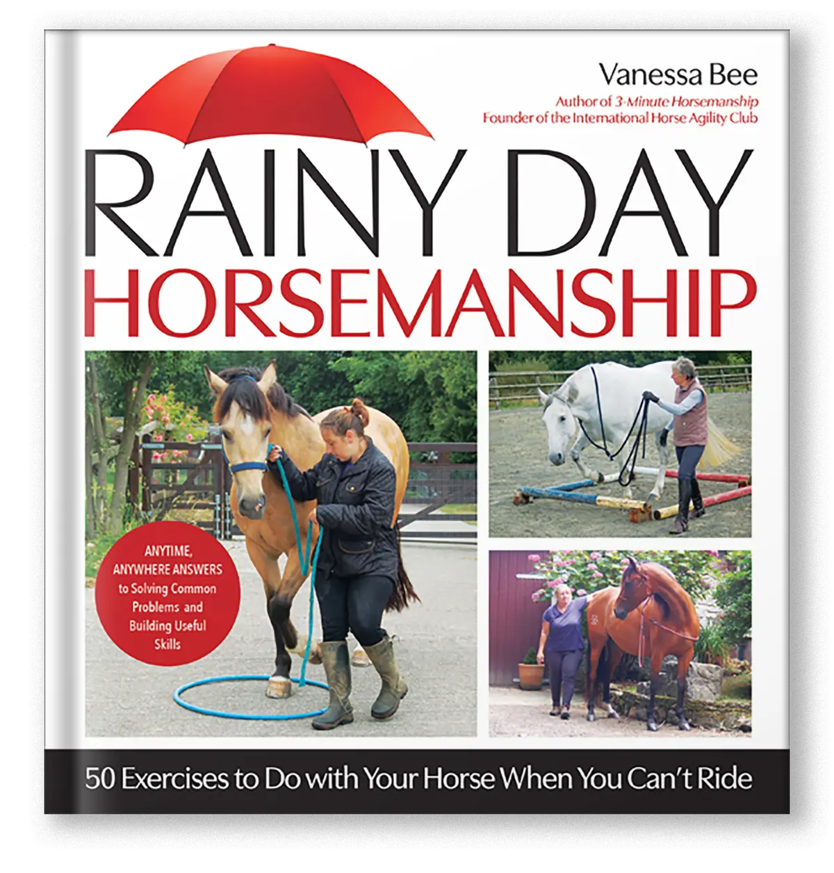 Rainy Day Horsemanship 1