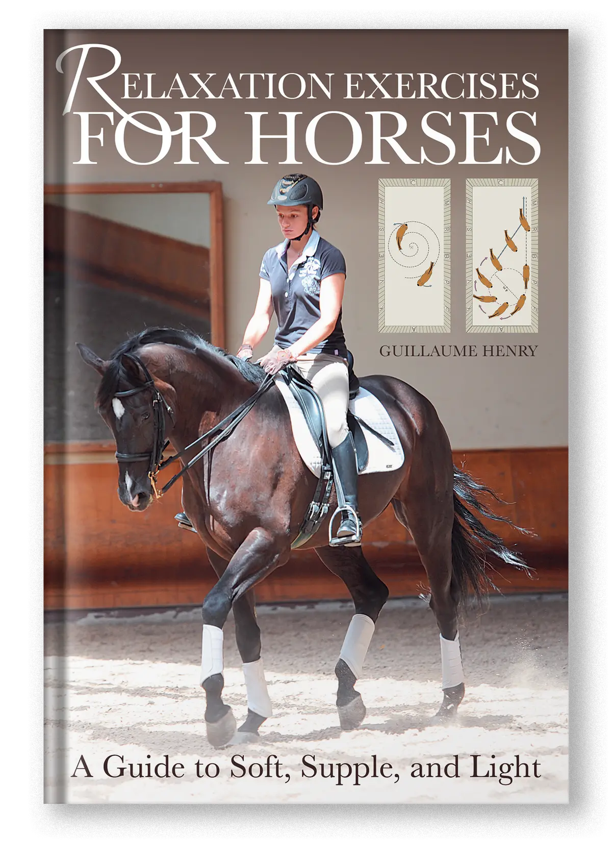 Relaxation Exercises For Horses 1