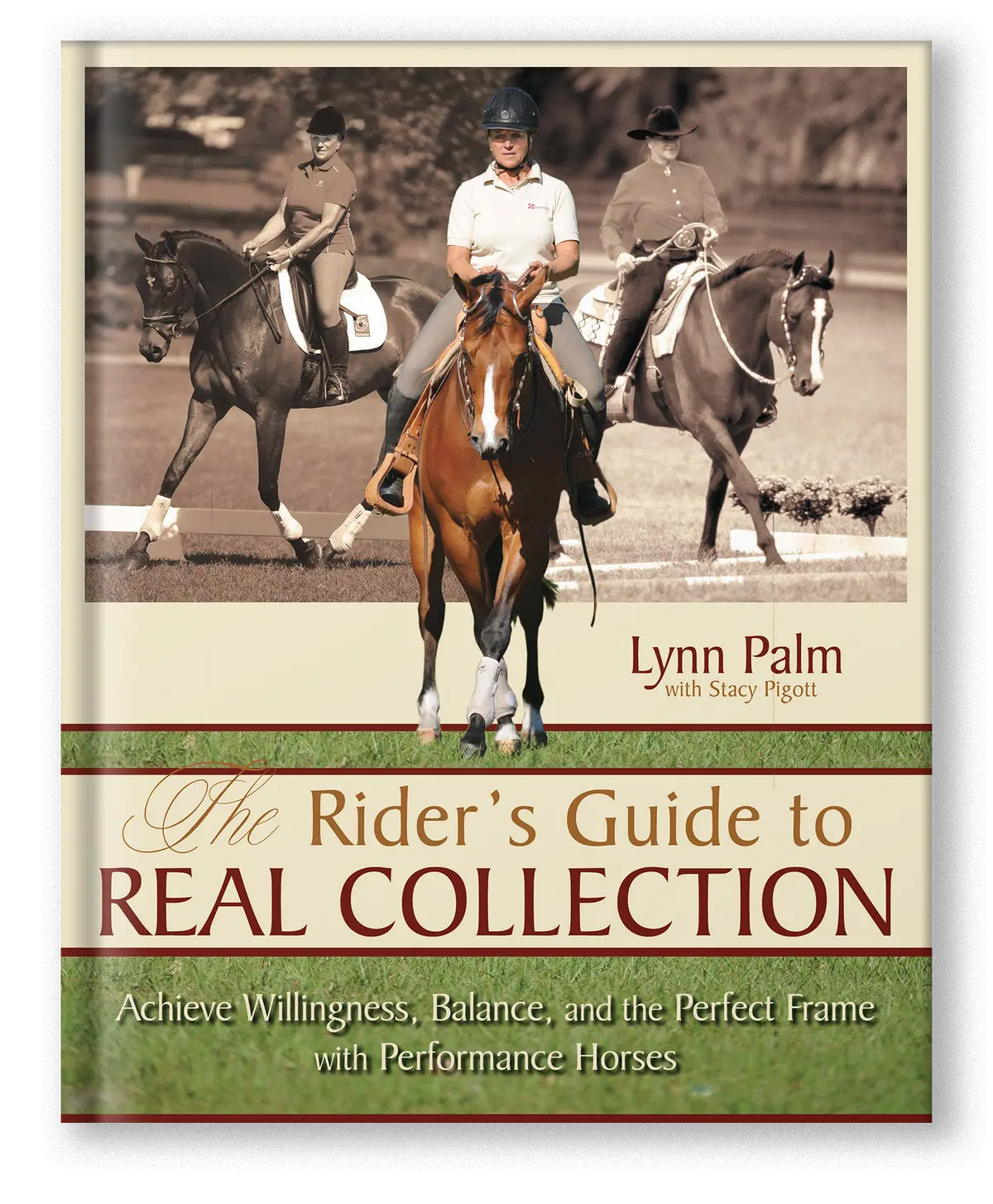 The Rider's Guide To Real Collection 1
