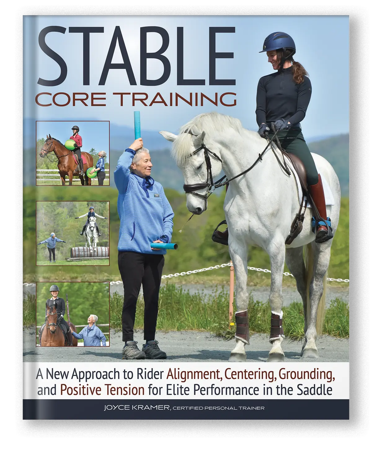 Stable Core Training 1