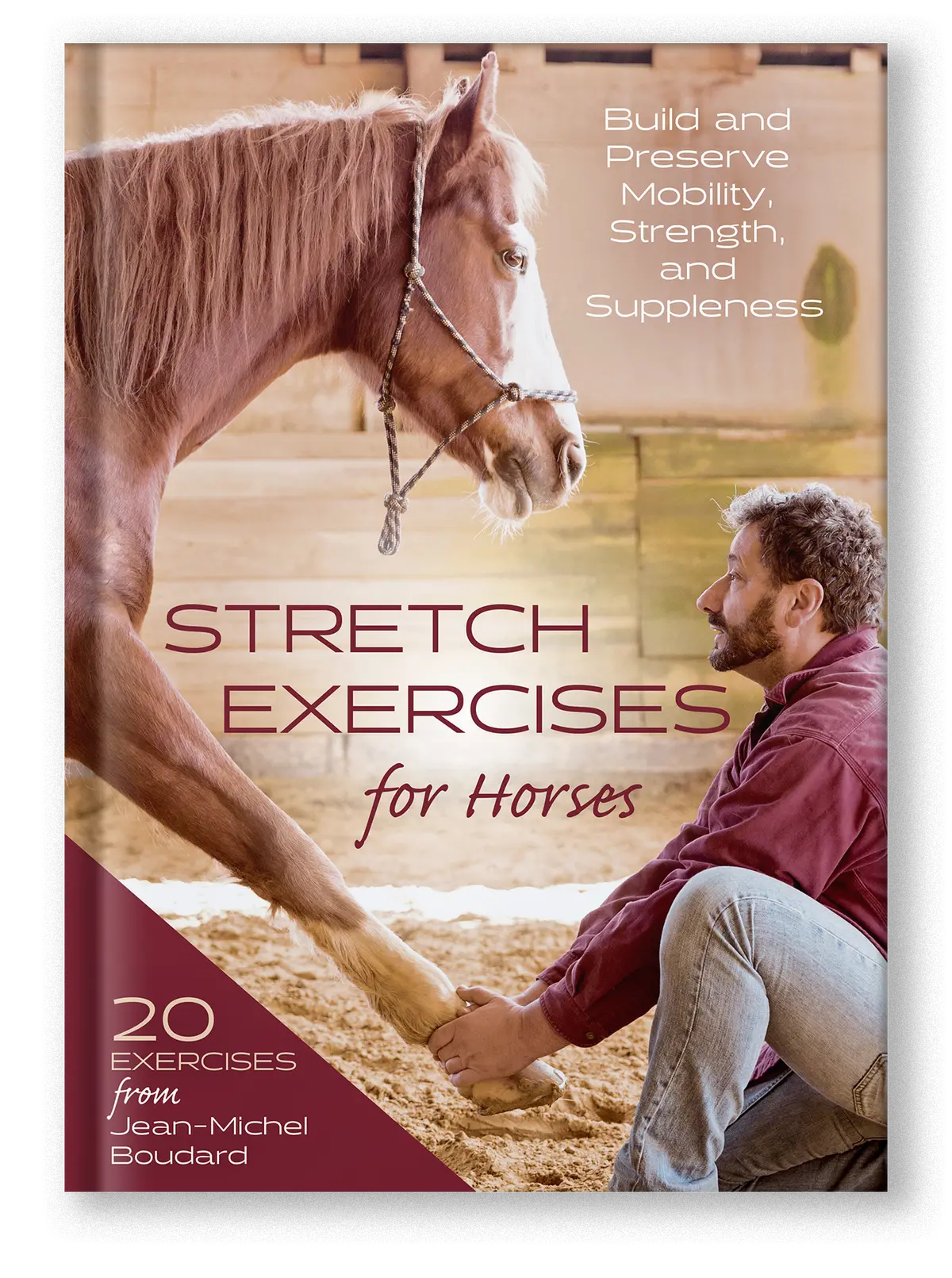 Stretch Exercises For Horses 1