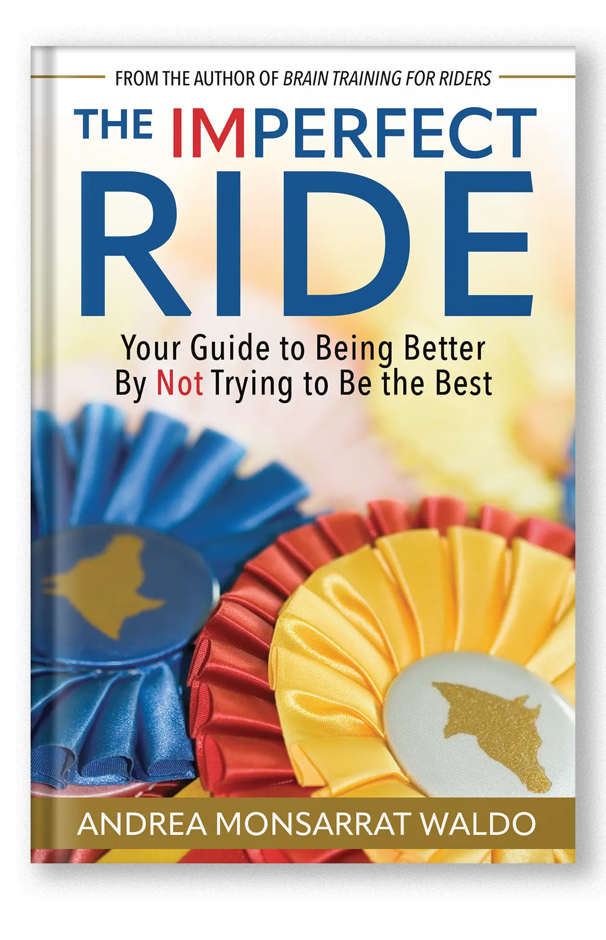 The Imperfect Ride 1