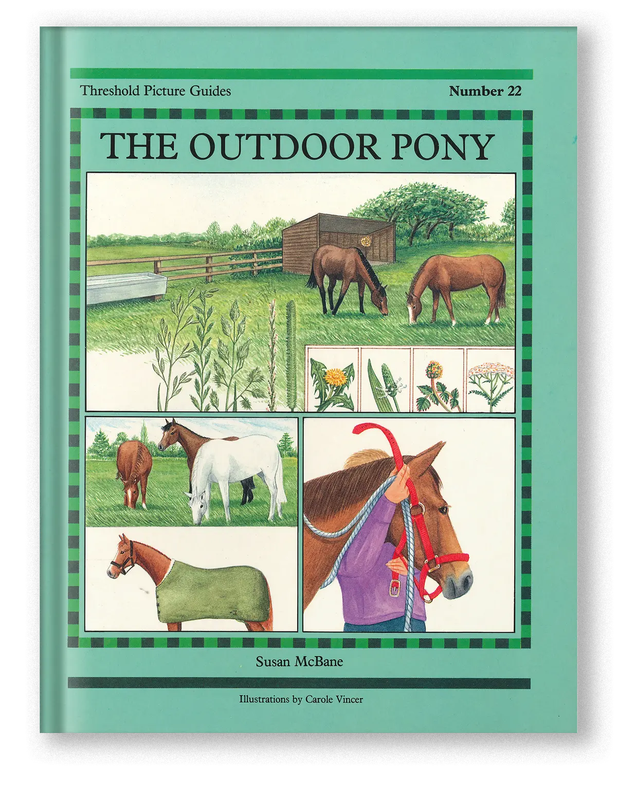The Outdoor Pony 1