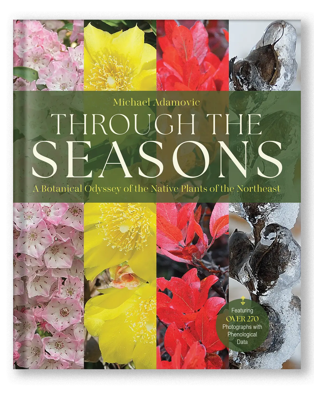 Through The Seasons 1