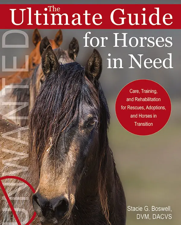 The Ultimate Guide For Horses In Need 1
