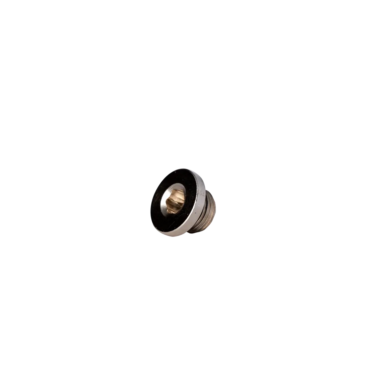 Universal 1/8 Npt O-Ring Plug (Fpe-Npt-18-Oring) 1