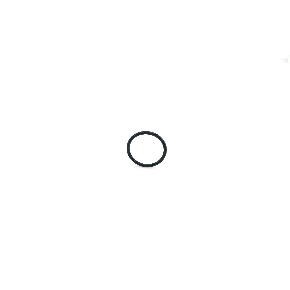 Universal Resonator Plug O-Ring (Rfb-830-Rfab) 1