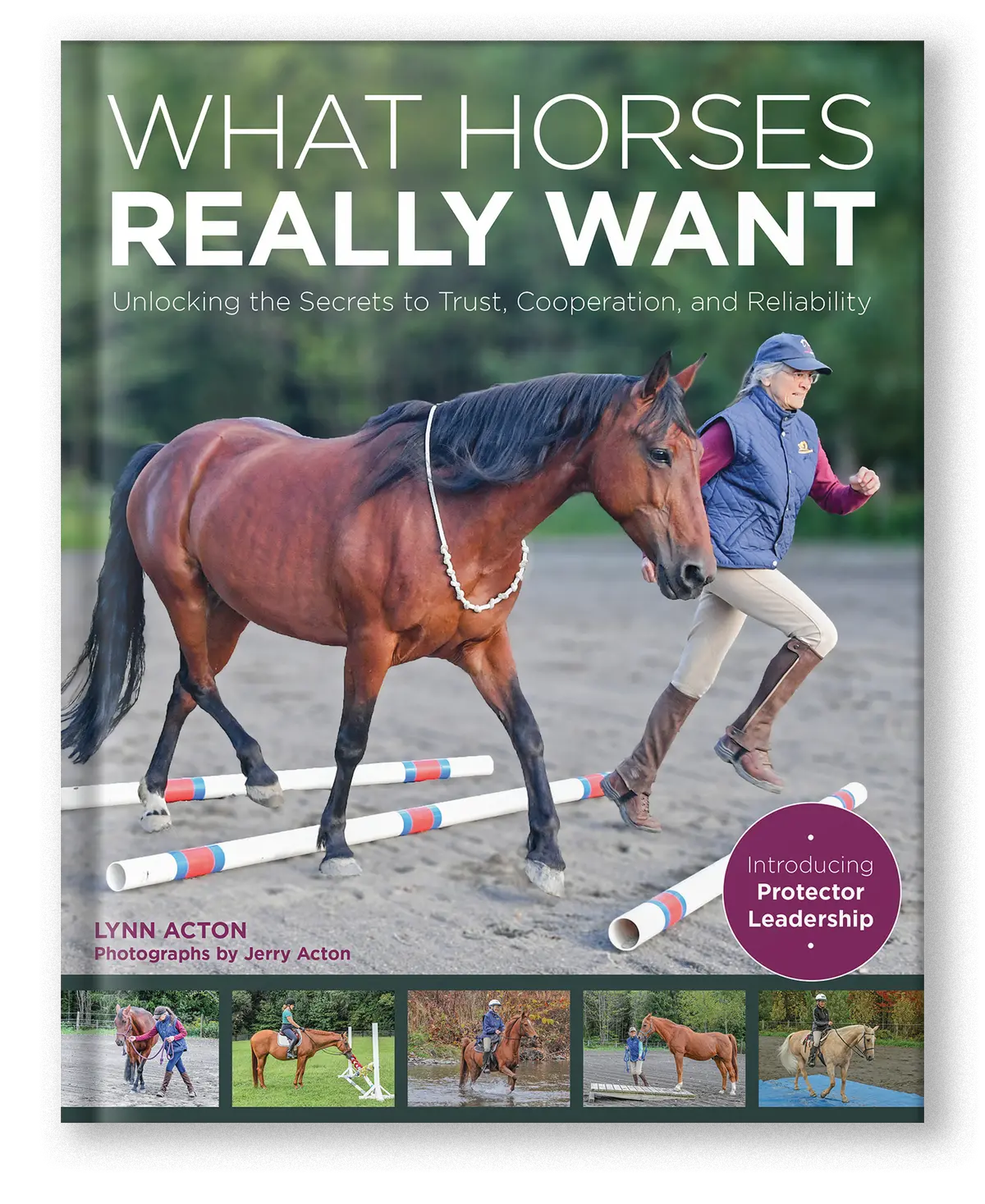 What Horses Really Want 1