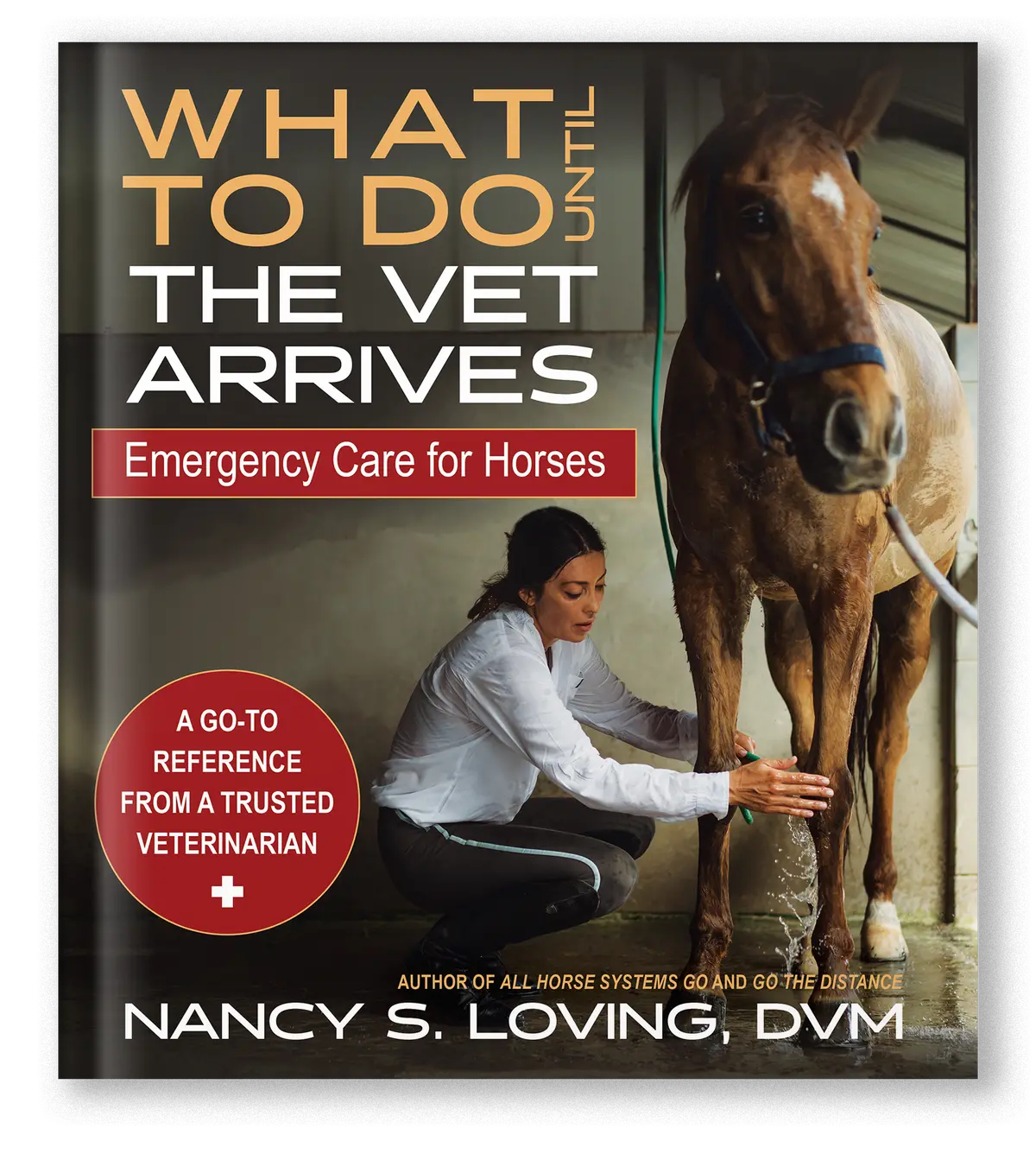 What To Do Until The Vet Arrives 1
