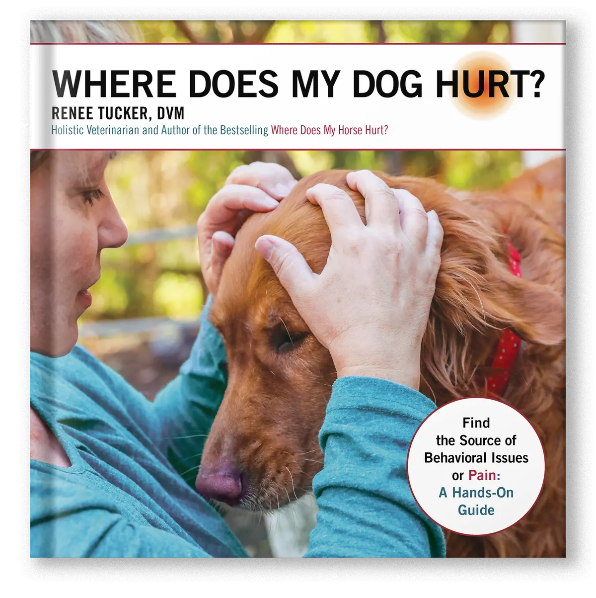 Where Does My Dog Hurt? 1