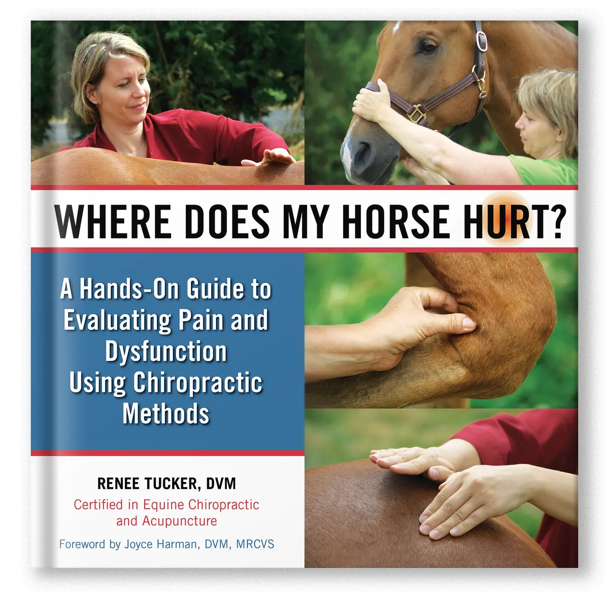 Where Does My Horse Hurt? 1