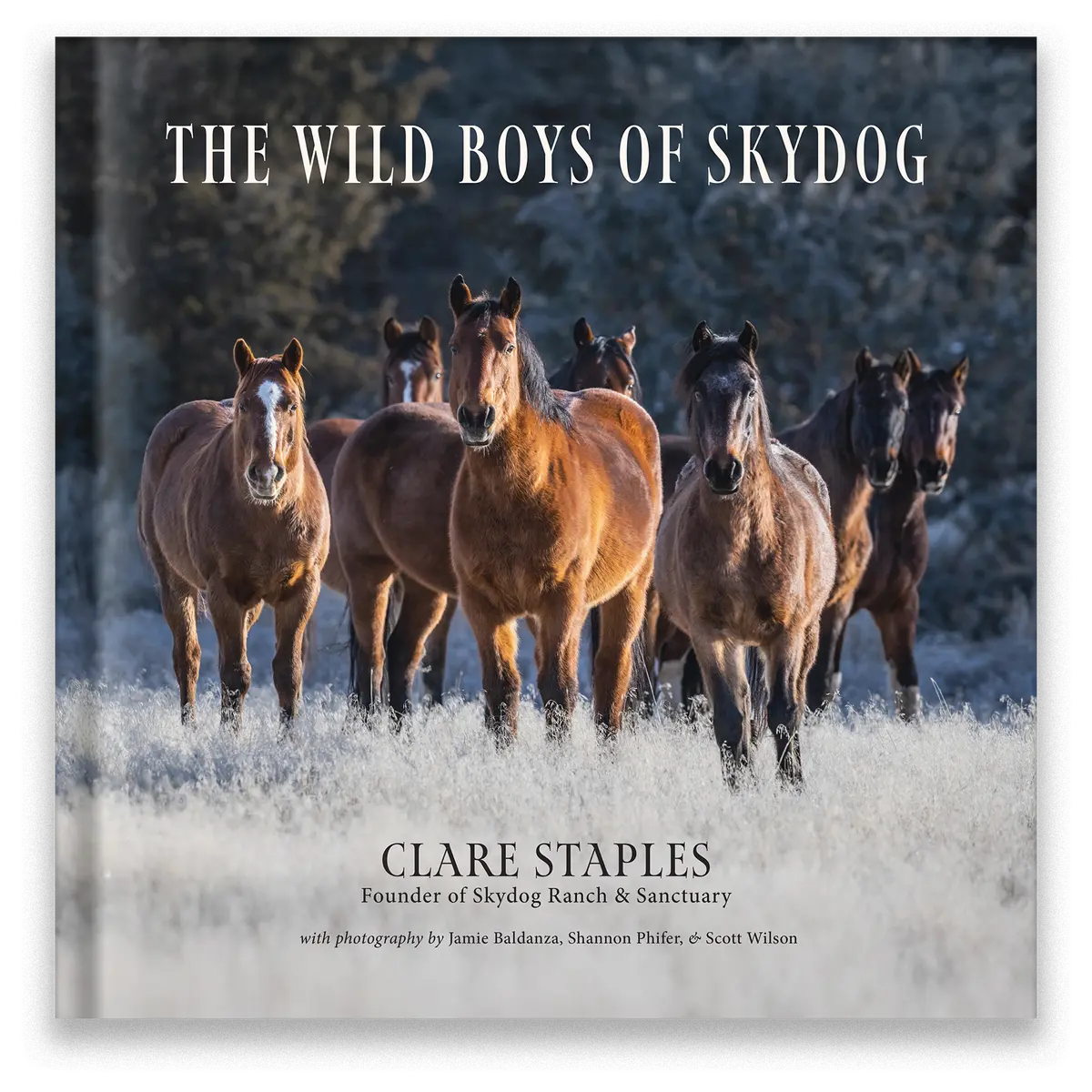 The Wild Boys Of Skydog 1