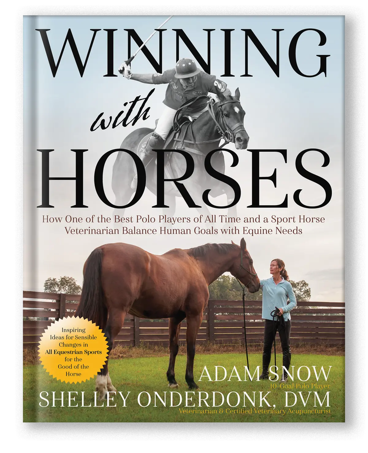 Winning With Horses 1