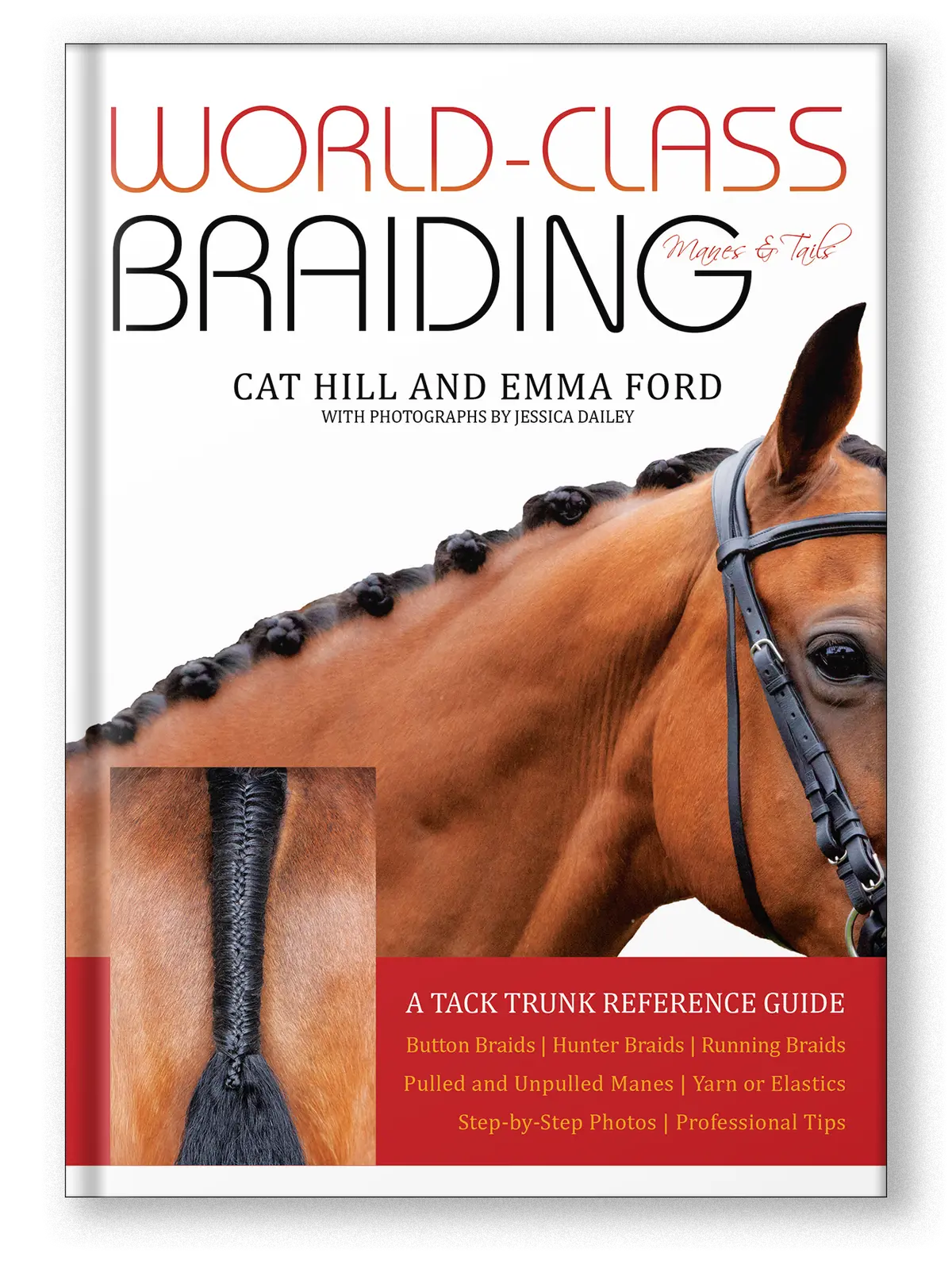 World-Class Braiding: Manes & Tails 1