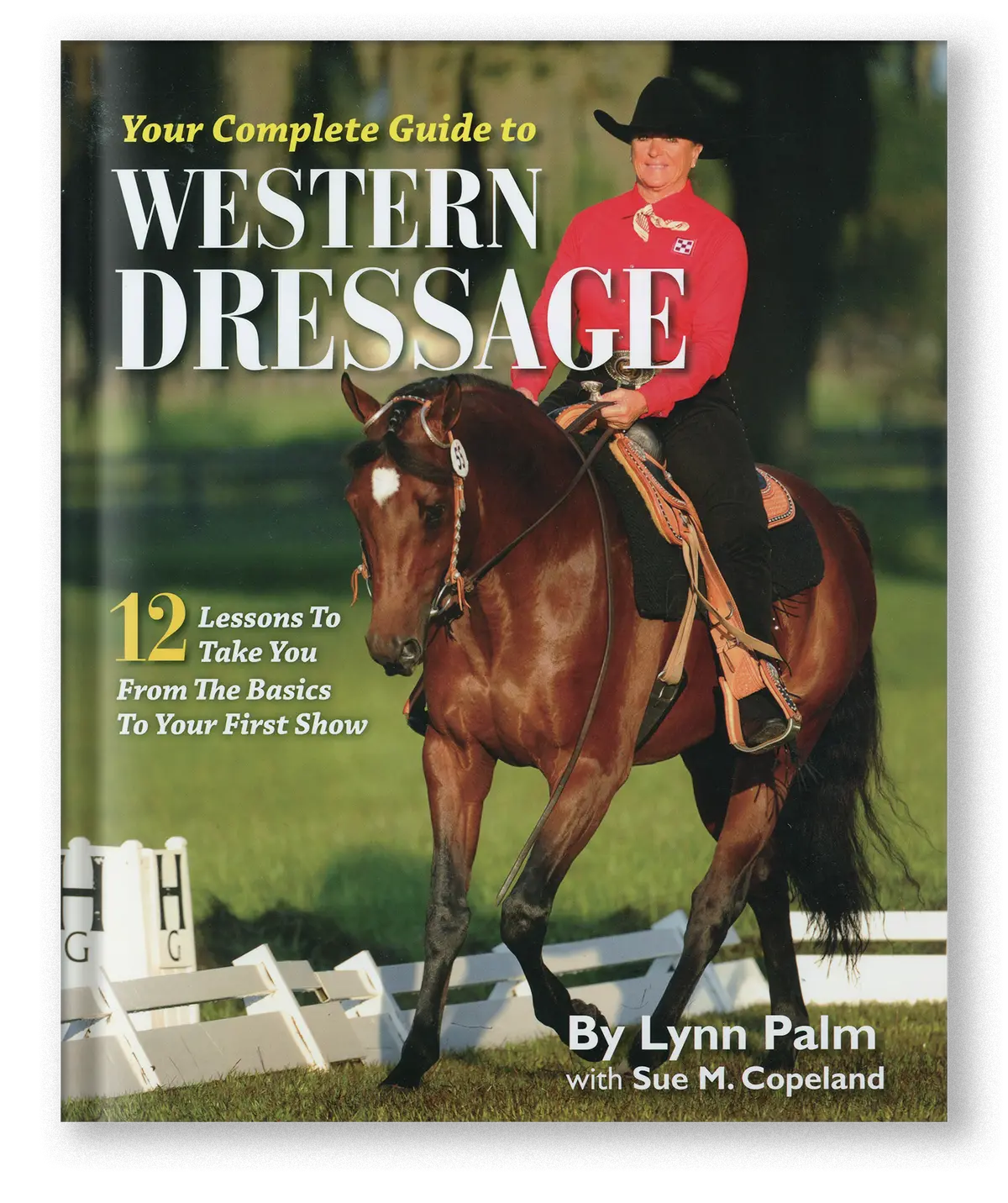 Your Complete Guide To Western Dressage 1