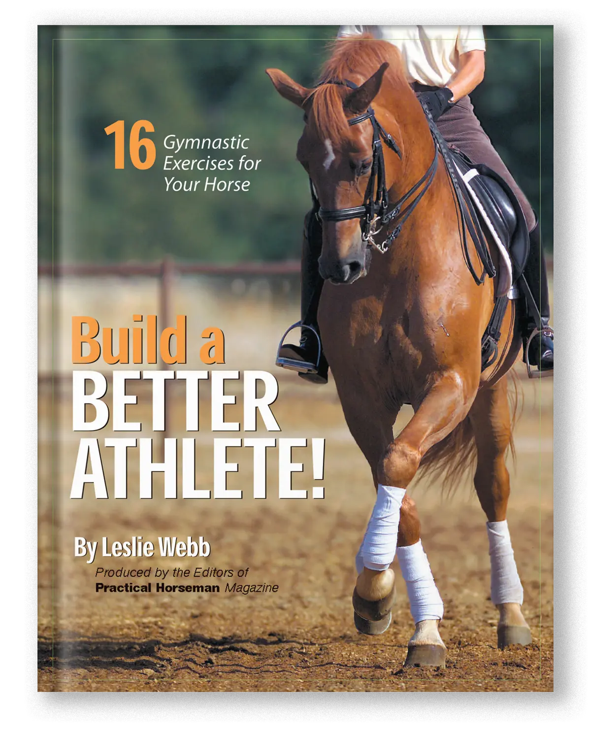 Build A Better Athlete! 1
