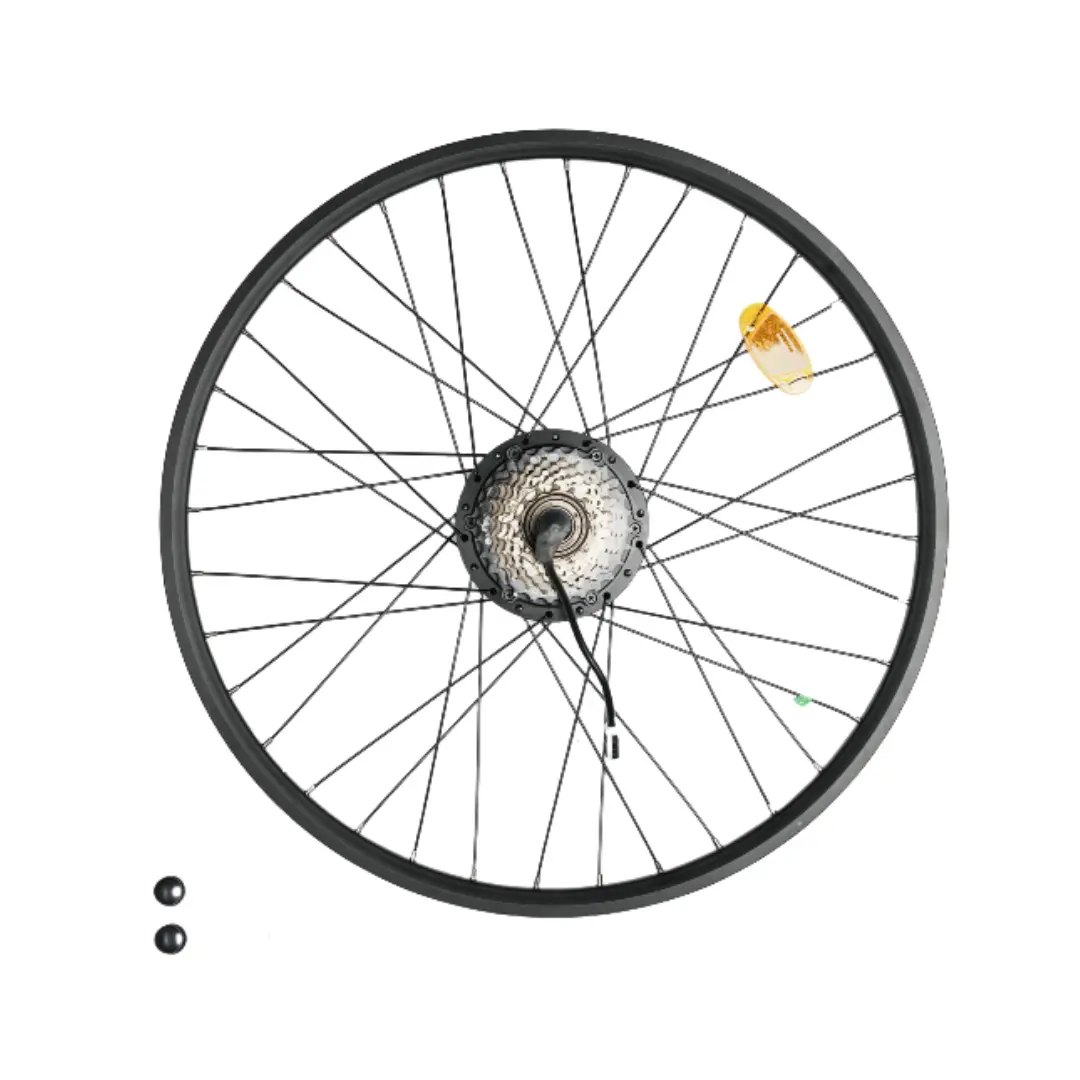 Rear Wheel Motor Replacement For U7 Electric Bike 1