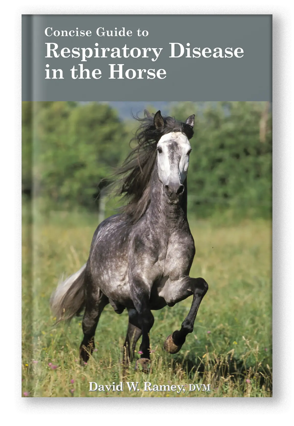 Concise Guide To Respiratory Disease In The Horse 1