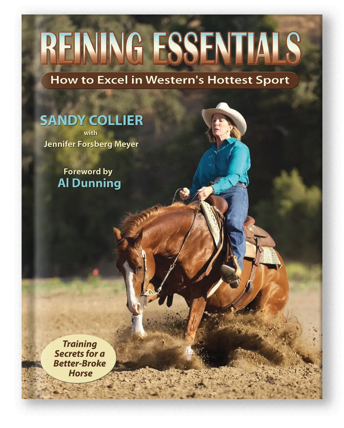 Reining Essentials 1