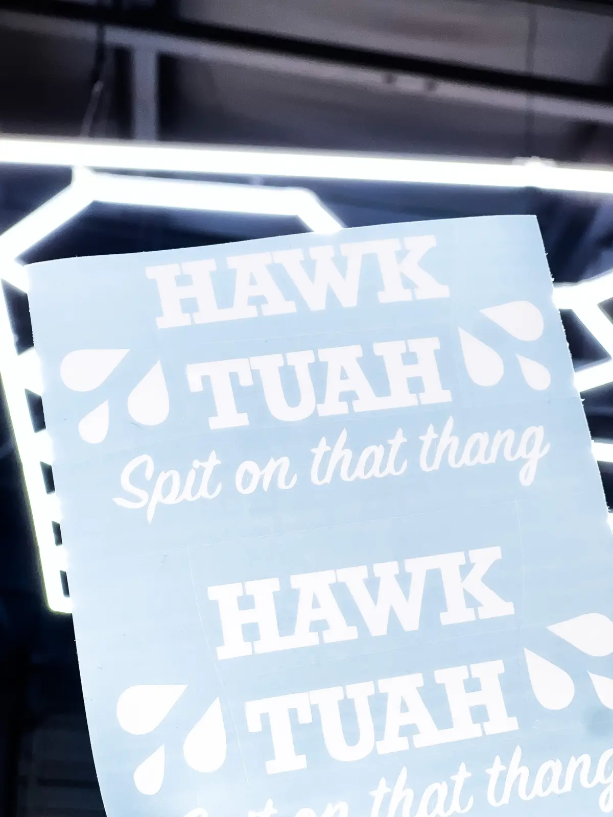 Hawk Tuah Sticker / Decal 1