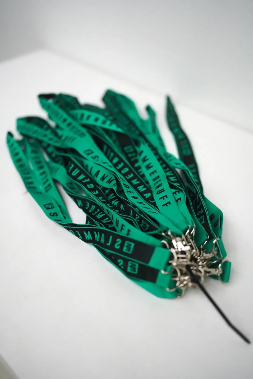 Evergreen Se Lanyard 1