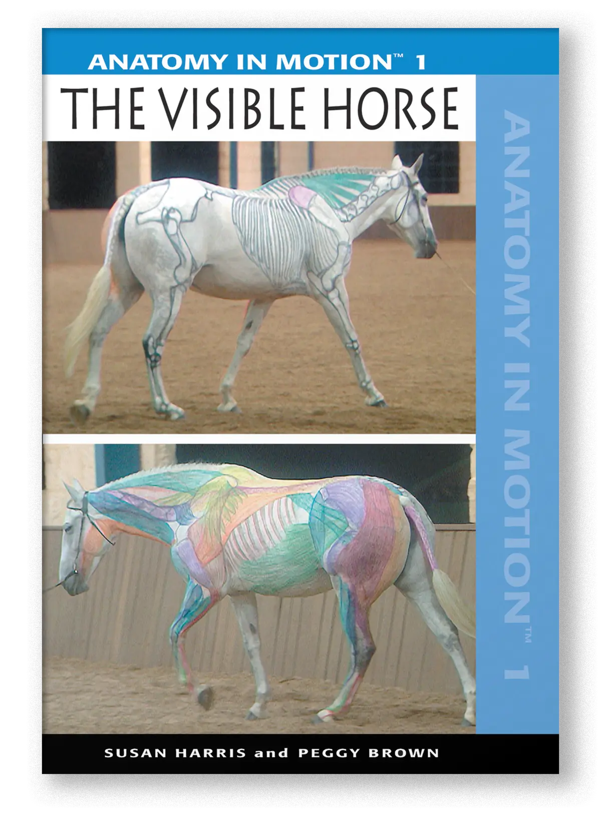 Anatomy In Motion 1: The Visible Horse (Dvd Or Streaming Video) 1