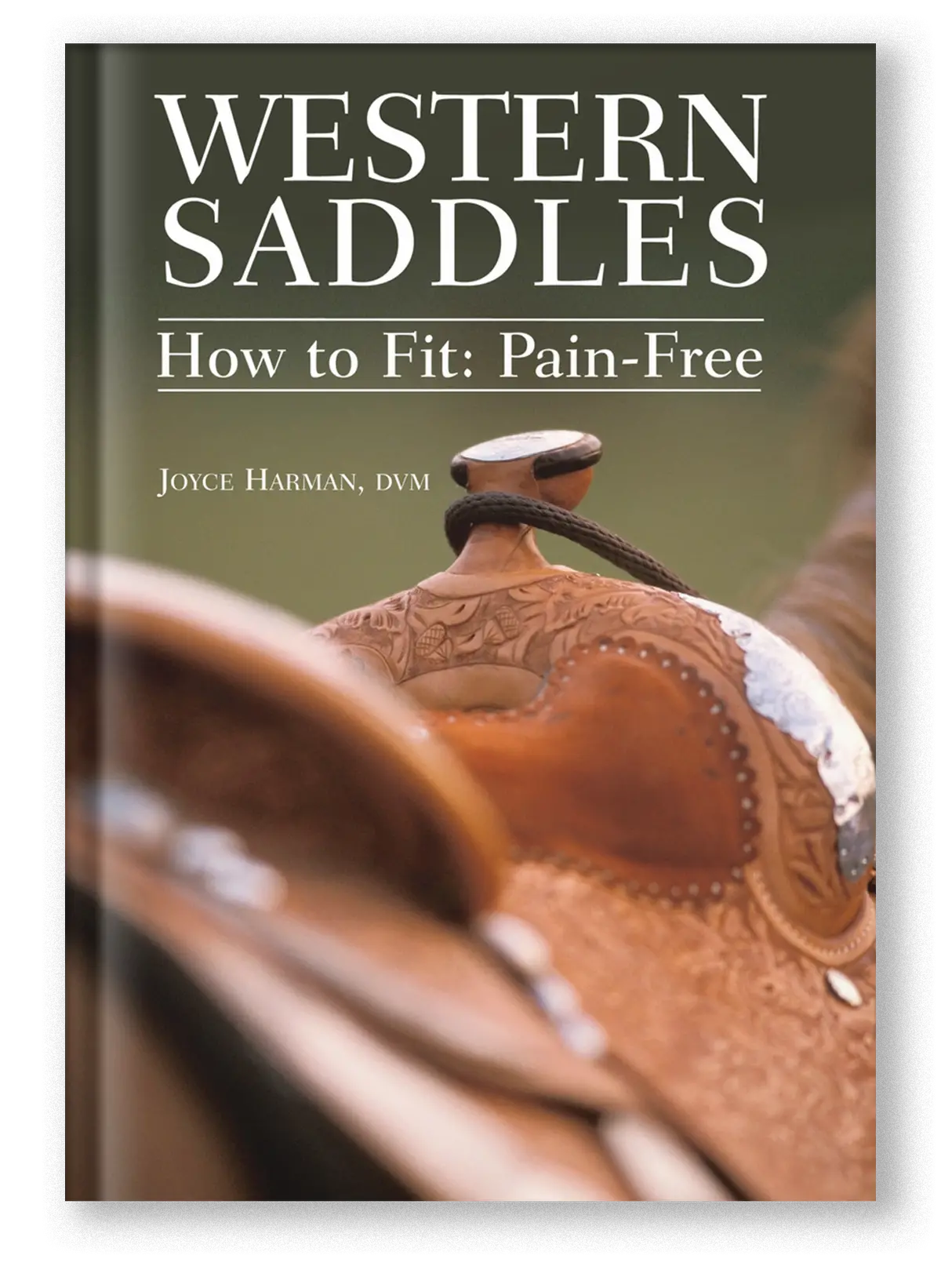 Western Saddles (Streaming Video) 1